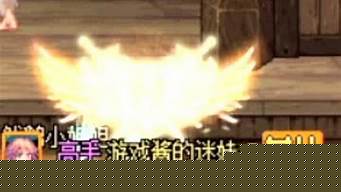 最新dnf私服：哪个dnf公益服人最多(