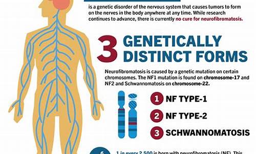 dnf新开sf：nf网站 (13)