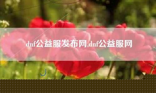公益服网(公益服网络游戏) (2)